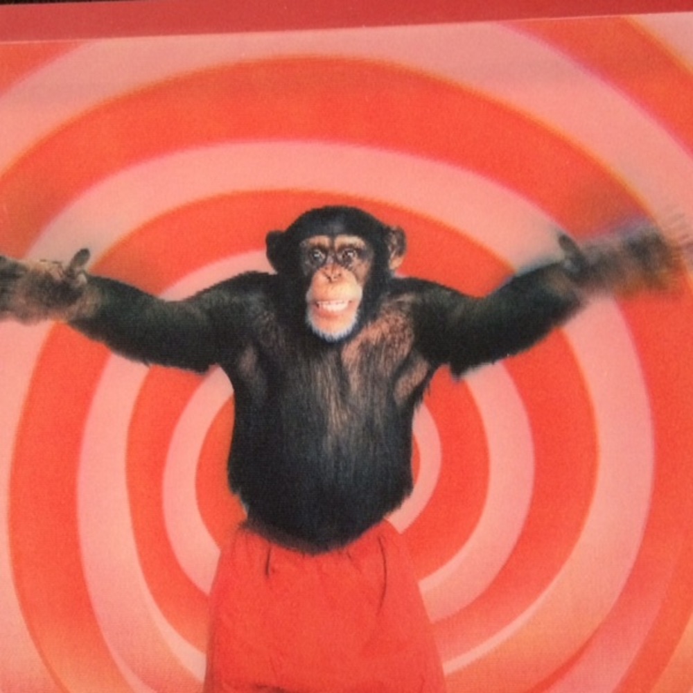 Meet your Posher, Stastacy